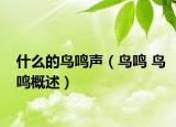 什么的鸟鸣声（鸟鸣 鸟鸣概述）