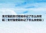 支付宝的支付密码忘记了怎么改密码（支付宝密码忘记了怎么改密码）