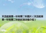 灭活疫苗第一针和第二针图片（灭活疫苗第一针和第二针的区别详细介绍）