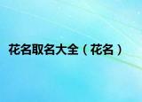 花名取名大全（花名）