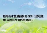 描写山水盆景的优美句子（盆栽植物 表达山水景色的盆栽）