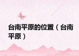 台南平原的位置（台南平原）