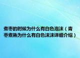煮枣的时候为什么有白色泡沫（青枣煮熟为什么有白色沫沫详细介绍）