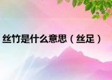 丝竹是什么意思（丝足）
