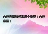 内存容量和频率哪个重要（内存容量）