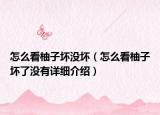 怎么看柚子坏没坏（怎么看柚子坏了没有详细介绍）