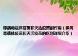 腺病毒载体疫苗和灭活疫苗副作用（腺病毒载体疫苗和灭活疫苗的区别详细介绍）
