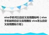 vivo手机可以自定义应用图标吗（vivo手机如何自定义应用图标 vivo怎么自定义应用图标介绍）