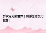 异次元无限世界（网游之异次元世界）