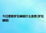 今日更新梦见蝙蝠什么意思(梦见蝙蝠)
