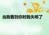 当我看到你时我失明了