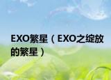 EXO繁星（EXO之绽放的繁星）