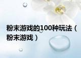 粉末游戏的100种玩法（粉末游戏）