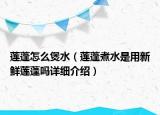 莲蓬怎么煲水（莲蓬煮水是用新鲜莲蓬吗详细介绍）