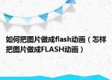如何把图片做成flash动画（怎样把图片做成FLASH动画）
