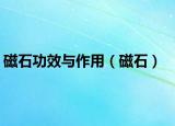 磁石功效与作用（磁石）