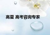 高夏 高考咨询专家