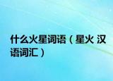 什么火星词语（星火 汉语词汇）