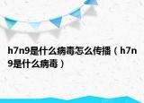 h7n9是什么病毒怎么传播（h7n9是什么病毒）