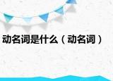 动名词是什么（动名词）