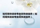 如何用快递单号查询快递信息（如何用快递单号查询快递信息）
