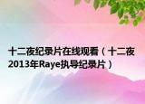十二夜纪录片在线观看（十二夜 2013年Raye执导纪录片）