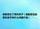 面粉里生了黑色虫子（面粉里生的黑色虫子叫什么详细介绍）
