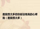 是我想太多但你却没有真的心疼我（是我想太多）