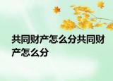 共同财产怎么分共同财产怎么分