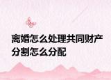 离婚怎么处理共同财产分割怎么分配