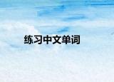 练习中文单词
