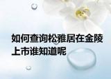 如何查询松雅居在金陵上市谁知道呢