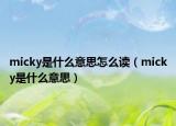 micky是什么意思怎么读（micky是什么意思）
