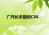 广汽长丰猎豹CS6