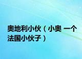 奥地利小伙（小奥 一个法国小伙子）