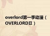 overlord第一季动漫（OVERLORDⅡ）