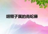 胡颓子属的南蛇藤
