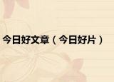 今日好文章（今日好片）
