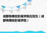 成都有哪些影视学院在招生（成都有哪些影视学院）