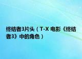 终结者3片头（T-X 电影《终结者3》中的角色）