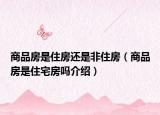 商品房是住房还是非住房（商品房是住宅房吗介绍）