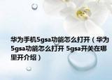 华为手机5gsa功能怎么打开（华为5gsa功能怎么打开 5gsa开关在哪里开介绍）