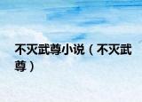 不灭武尊小说（不灭武尊）