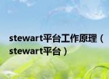 stewart平台工作原理（stewart平台）