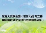 世界大战联合国（世界大战 对立的国家集合体之间进行的全球性战争）