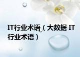 IT行业术语（大数据 IT行业术语）