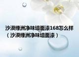 沙漠绿洲净味墙面漆168怎么样（沙漠绿洲净味墙面漆）