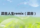 混音人生remix（混音）