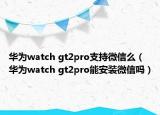 华为watch gt2pro支持微信么（华为watch gt2pro能安装微信吗）
