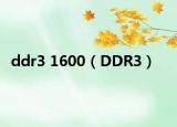 ddr3 1600（DDR3）